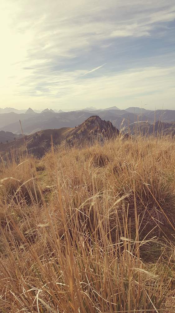 aussichten im herbst