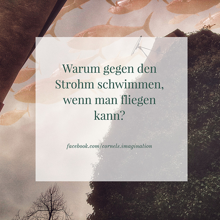 Warum gegen den Strohm schwimmen, wenn man fliegen kann?