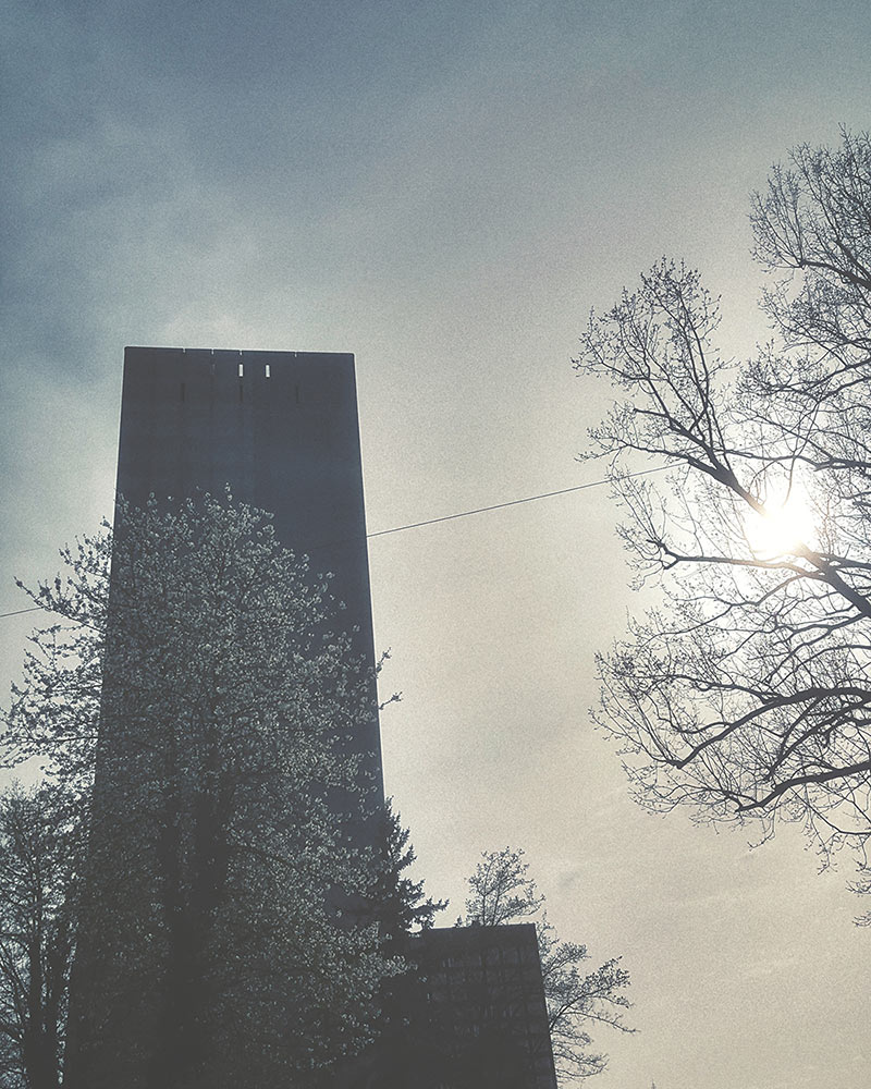 Frühling Zürich