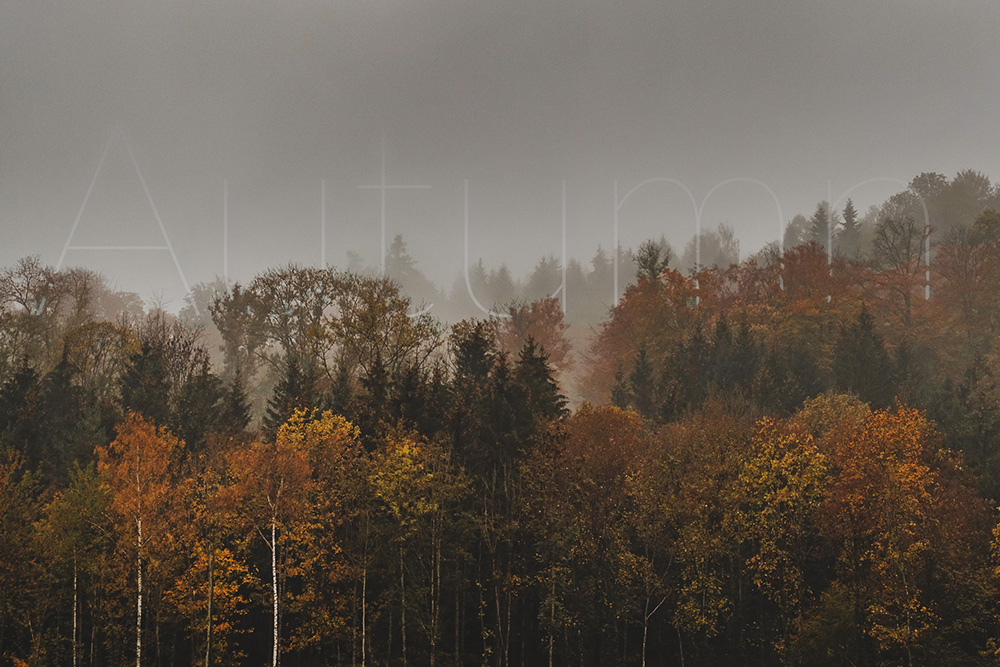 Autumn