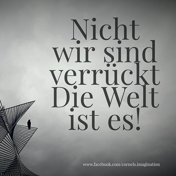Nicht wir sind verrückt - Die Welt ist es!