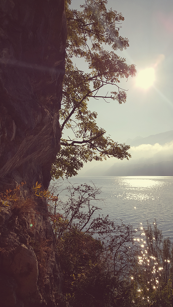 see morgenstimmung