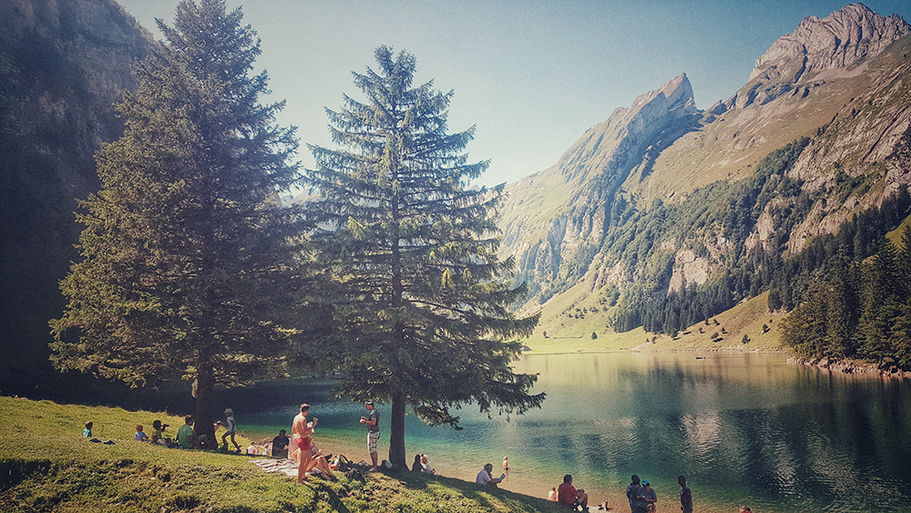 seealpsee social