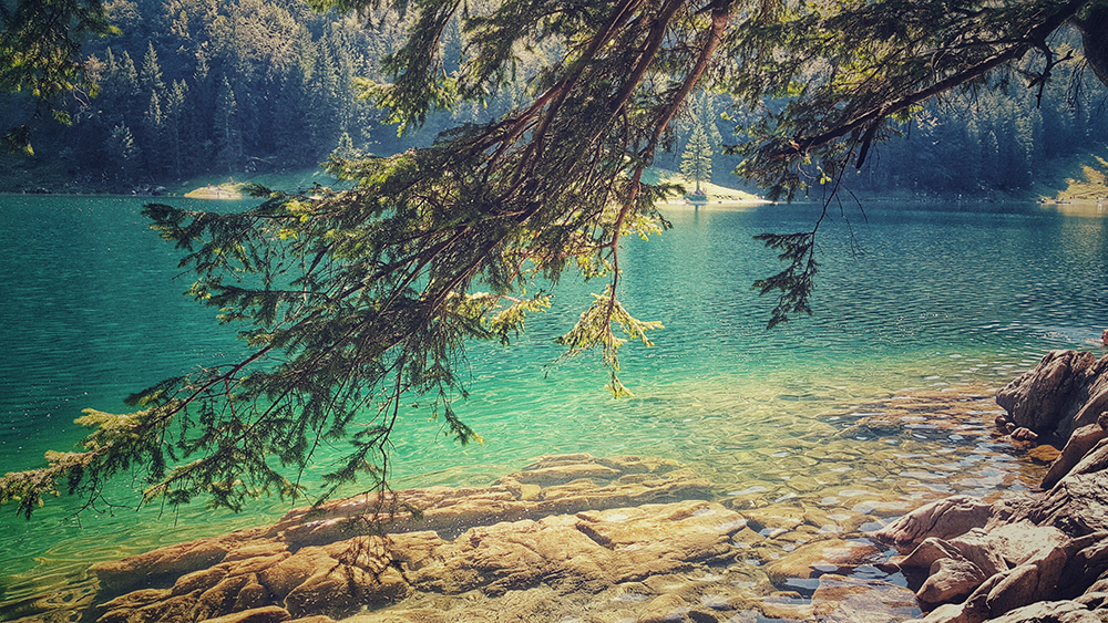 seealpsee