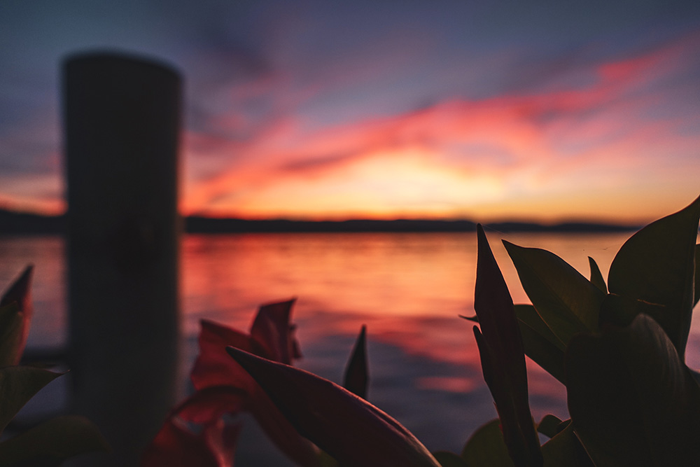 Sonnenuntergang Zürichsee