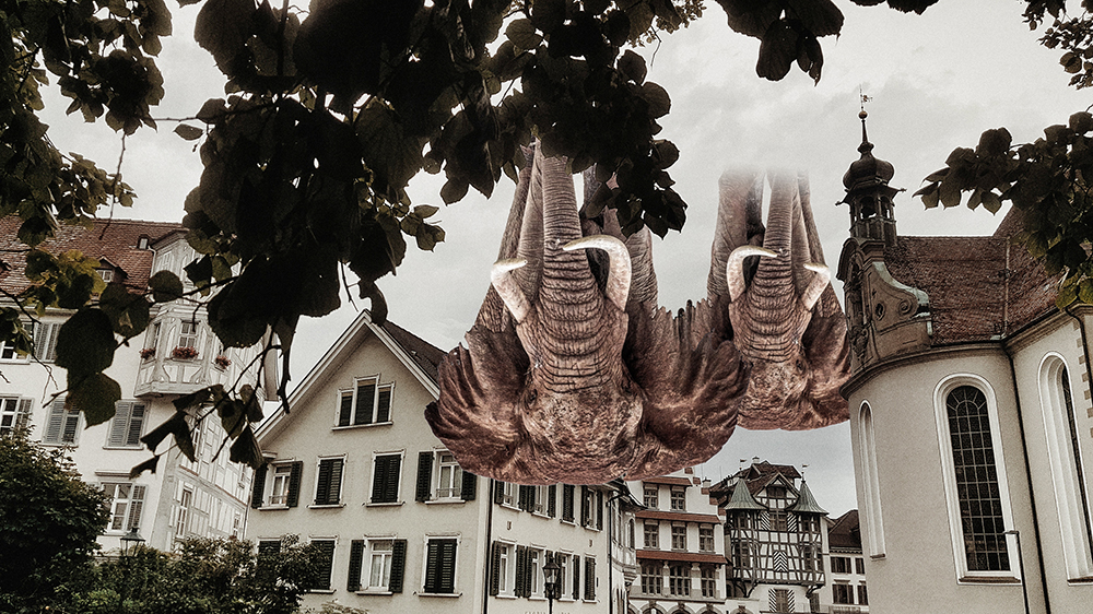 St Gallen Innenstadt mit Elefanten