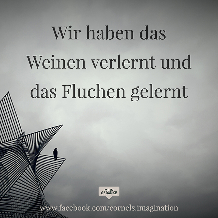 Wir haben das Weinen verlernt und das Fluchen gelernt